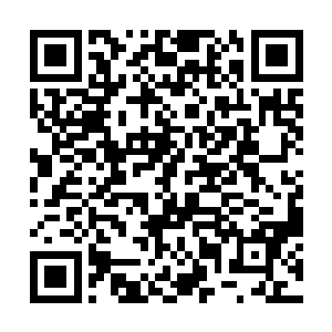 现在恐怕已经通过澳门那边的港口偷渡出国避风头了二维码生成