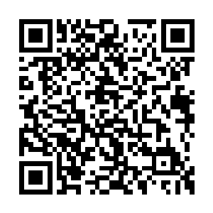 现在我也不敢想前面到底爆发的是什么样的战斗二维码生成