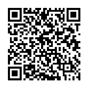 现在我们只要保证王妃的计划和安危不出乱子就好了二维码生成