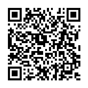 现在我们开始从五百名选手到前一百位的竞选……二维码生成