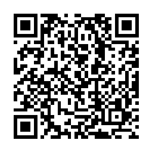 现在我们开始拍卖本次拍卖盛会的最后一件压轴大戏二维码生成