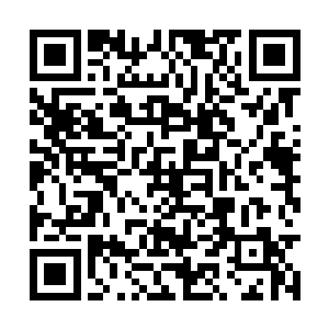 现在我便拿出本次拍卖会的最后一件压轴的拍卖品二维码生成