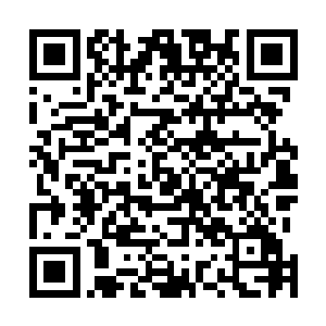 现在挡在他面洽的只剩下本场比门将克里斯蒂安・菲德勒二维码生成