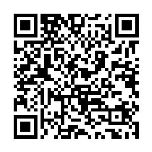 现在整个神武大陆全都笼罩在了一股紧张的气氛之中二维码生成