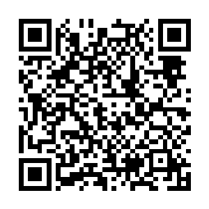 现在方家的大半产业都在他的这个弟弟手里掌握着二维码生成
