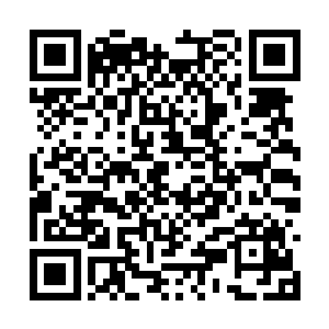 现在最大的问题是他胸口已经长出大量根须的种子二维码生成