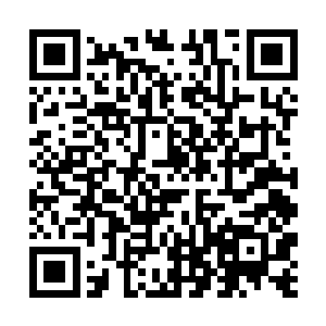 现在有了柳逸尘这样的一个无所不知的大师进行指点二维码生成