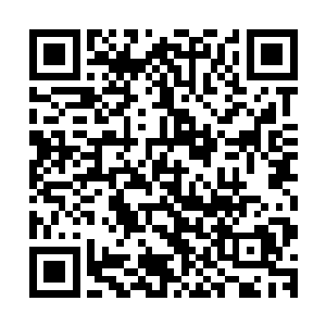 现在有人竟然敢向他们代表了幸存者基地正统的猎鹰战队开枪二维码生成