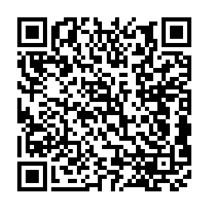 现在没了一准儿是松鼠两口子把小太妹的食物给当成过然的粮食给贮藏了二维码生成