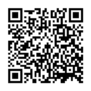 现在的叶焚天跟之前的时候早已经发生了天翻地覆的变化二维码生成