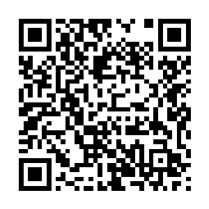 现在的君主阁已经具备了一定程度承担风雨的能力了二维码生成