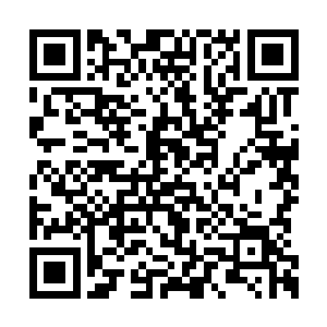 现在的孩子虽然因为家庭的宠爱而显得过于娇气二维码生成