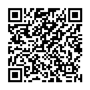 现在的情形无异于杨庆在以四个青莲境界的修为打卢玉两个二维码生成