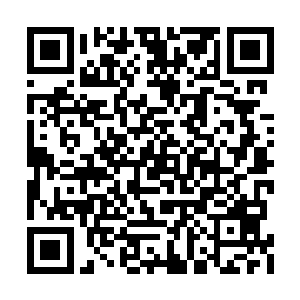 现在的木小姐恐怕是当之无愧的帝庭第一天才了二维码生成