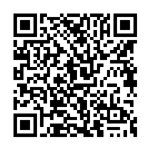 现在的李杨可比秦方刚见到他的时候轻松的多了二维码生成