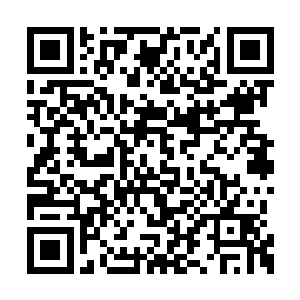 现在的血红真甲是直接和夏天的皮肤融为了一体二维码生成