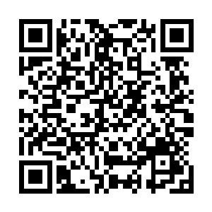 现在皮克王国的国民正在承受着地震给他们带來的巨大灾难二维码生成