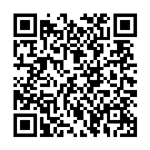 现在站在位置上等待斗医开始的并不是一个青面獠牙的二维码生成