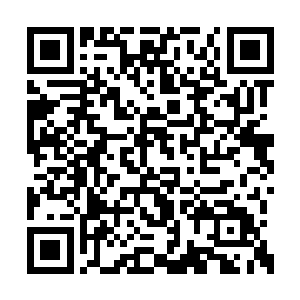 现在老夫便把毕生的功力以及修炼心得传授与你二维码生成