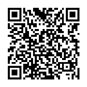 现在苏林的空间波纹完全覆盖到了红叶队他们的白宝菇内二维码生成