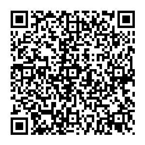 现在跑道是建好了可是时不时的飞起一只海鸟哪个喷气式的飞机敢这么降落在这样的跑道上或者起飞二维码生成