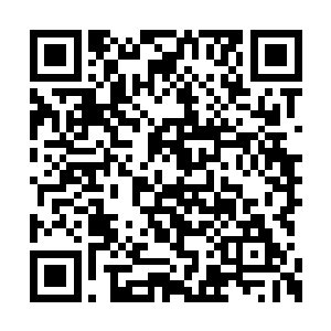 现在这种级别的大战他们可是一辈子也看不到的二维码生成