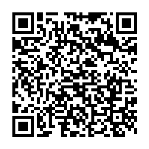 现在阿瓦科已经被阿德耶总统任命为国民卫队副总司令兼内务部部长二维码生成