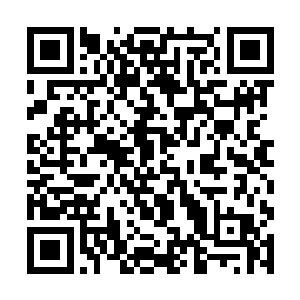现在马上就连这几百块钱一晚的宾馆都快要住不起了二维码生成