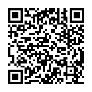 现场这些人全都是羡慕嫉妒恨的目光看向了点苍门的门主二维码生成