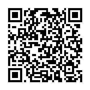 玲珑仙塔内诛仙弓认主的一幕不由都出现在众人的脑海里二维码生成
