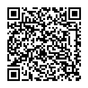 珍妮也很快地和克里斯商定了两人在今年的会面和联系计划――是的二维码生成