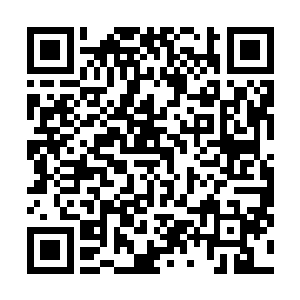 珍妮弗的表情生动地表现出她根本没信罗伯特的胡说八道二维码生成