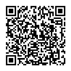 珍妮忙里偷闲地瞥了场地上空的大电视一眼――一脸迷茫的她正挂着礼貌的笑容二维码生成
