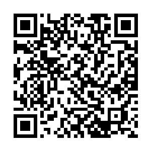 珍妮知道他们意识到了她的演技和一般人的确不一样二维码生成