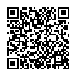 珍珠的痛哭声和许瑾瑜低声的哽咽一点一点的传进陈元昭的耳中二维码生成