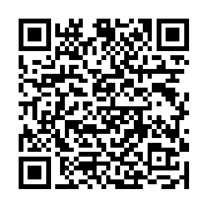 珍珠酱所掀起垃圾摇滚狂潮时所没有能够达到的高度二维码生成