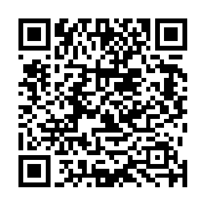 瓦东河看到血尸被一张符箓给贴上后便不再受自己的控制二维码生成