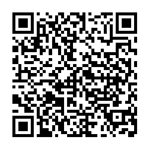 甚至一般的至尊境强者都未必是它的对手……但它的弱点也是非常明显的二维码生成