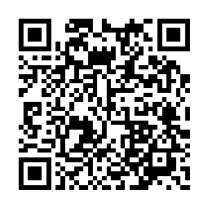 甚至于为了直播效果都愿意不计代价地牺牲形象二维码生成