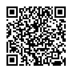 甚至于心神一直都在不断的搜索着周围的地段寻找龙墓的存在二维码生成