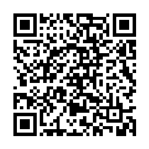 甚至他只需要几招就可以干掉林茜他们任何一个人二维码生成