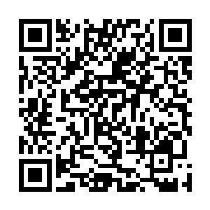 甚至代表团中中医成员的这一部份还是由他们共同商定的二维码生成