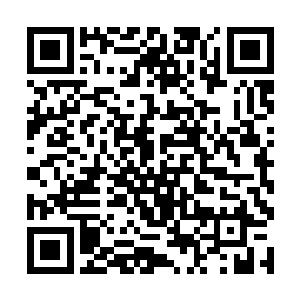 甚至可以将全身细胞都改造成类似癌细胞的永生细胞二维码生成