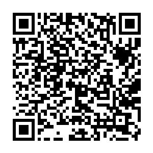 甚至可以说有些呆傻的男子也从他身后被超级三角龙破开的林中小道中走了出来二维码生成
