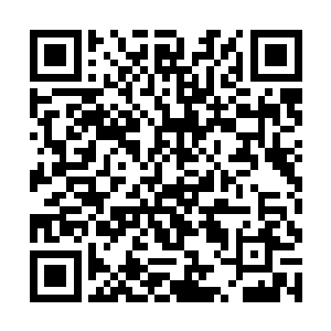 甚至在现场的购票队伍之中捕捉到了珍珠酱主唱艾迪二维码生成