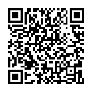 甚至堪比前三代纯血血族的血族才可能觉醒的它二维码生成