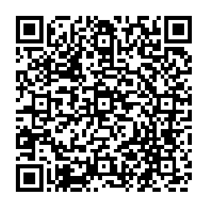 甚至对于巫师的灵魂和质点都有奇效还有我之前特意在火羽族收集到的异世界资源二维码生成