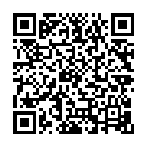 甚至就连一些身体部件也明显经过强化甚至修改二维码生成