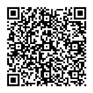 甚至就连他十六岁那年头一次黑入的日岛某影视公司的后台存储服务器都忍痛贡献出去了二维码生成