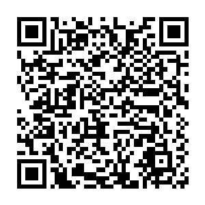 甚至就连他期待的回到黑铁之堡就可以享用的铁胎果都无影无踪了二维码生成